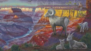 Spirit of the Grand Canyon Slide