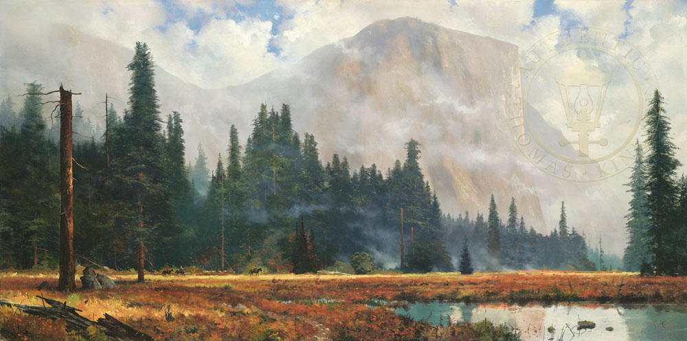 Yosemite Meadow